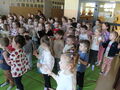 IMG 0692