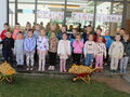 IMG 8954 001