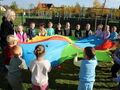 IMG 8981