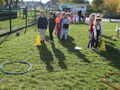 IMG 8984