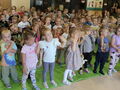 IMG 8484
