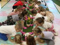 IMG 0859