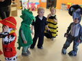 IMG 0384