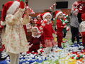 IMG 9583