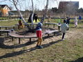 IMG 0919