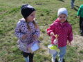 IMG 1012 001