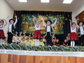 IMG 6494