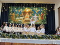 IMG 6576