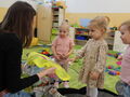 IMG 6966