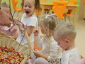 IMG 8578