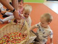 IMG 8581