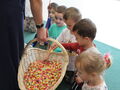 IMG 8589