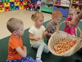 IMG 8592