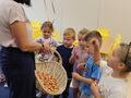 IMG 8618