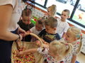 IMG 8623