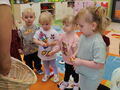 IMG 8656